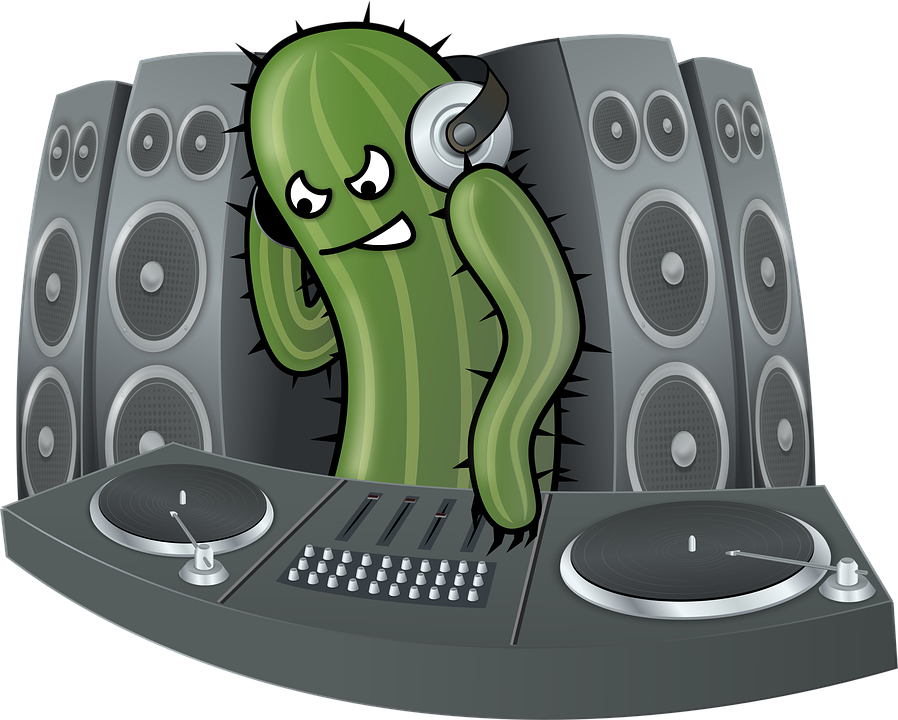 dj, cactus, speakers