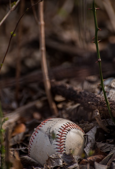 baseball, background image, leaves