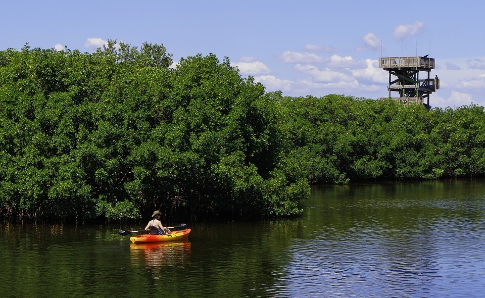 kayak, observation tower, river