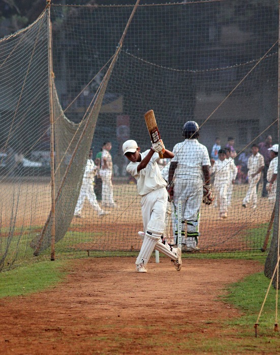 cricket, batsman, ball game
