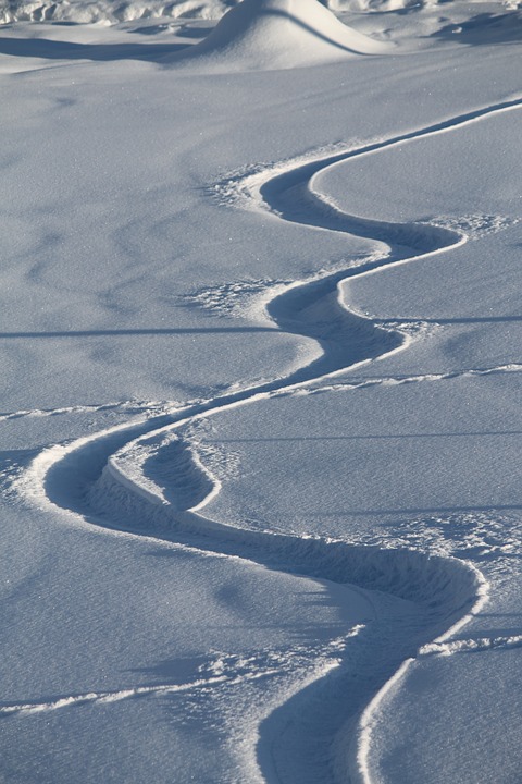 snow lane, trace, snow