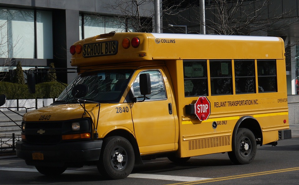 bus, school bus, new york