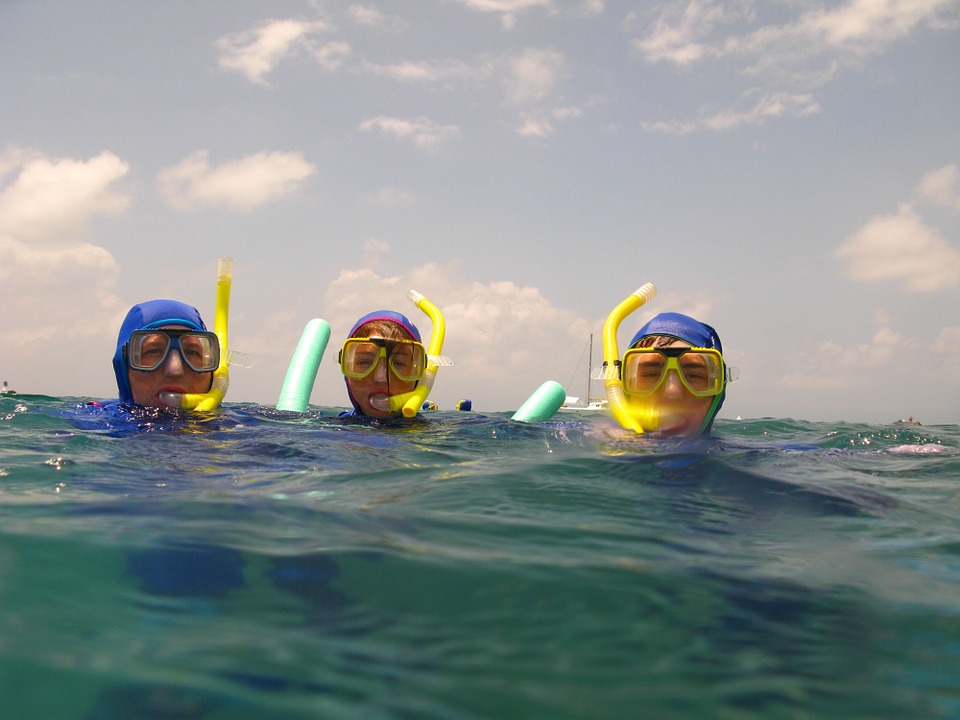 swimming, snorkelling, water