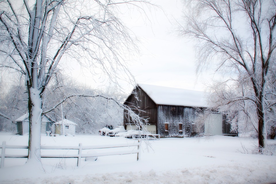 snowy barn, winter, rural