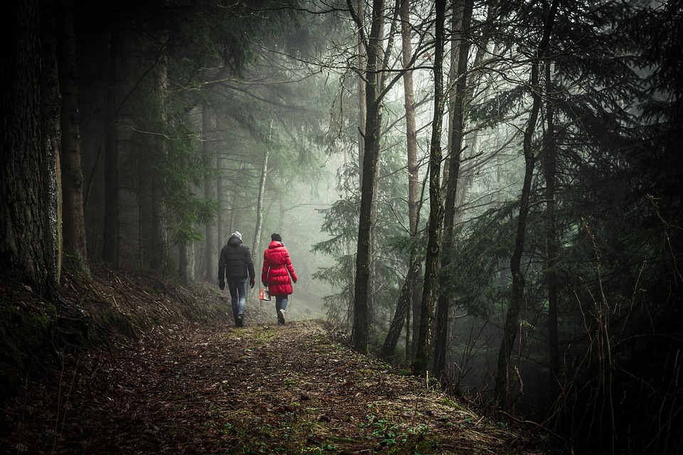 walking, forest, couple