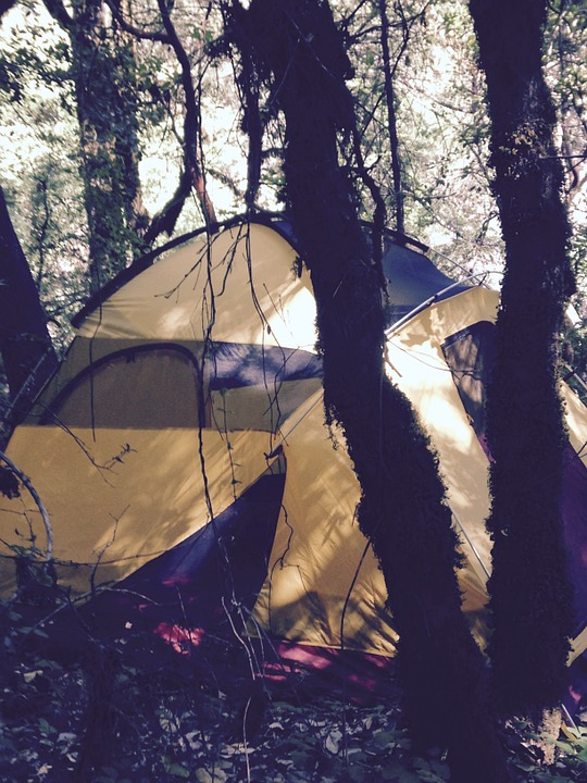 tent, camping, woods