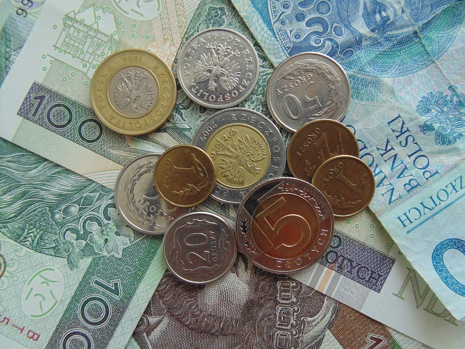 money, polish, banknote