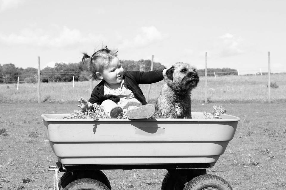 toddler, dog, black and white