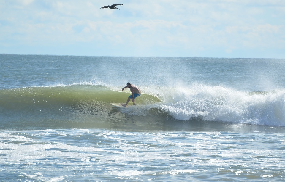 surfer, surfing, ocean