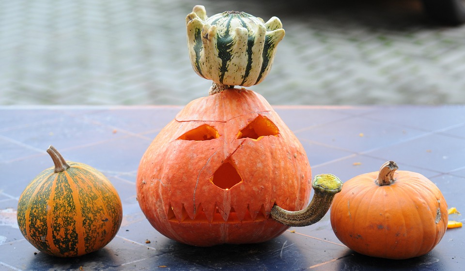 pumpkin, halloween, pumpkin ghost