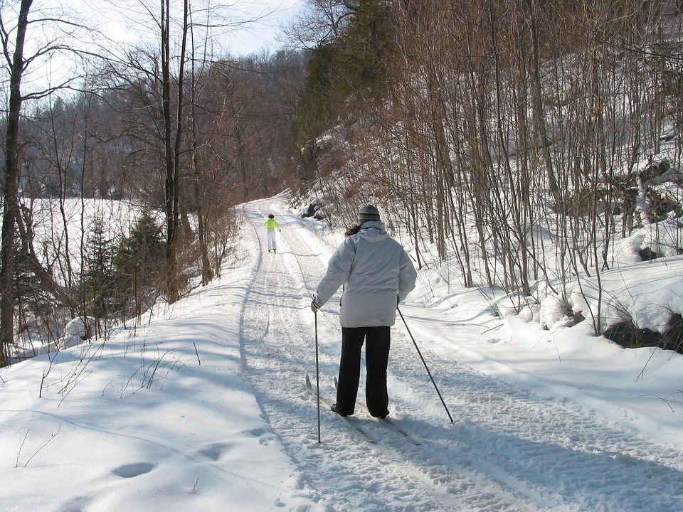 cross country skiing, snow, winter