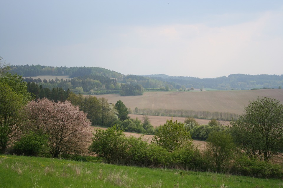 spring, landscape, czech republic
