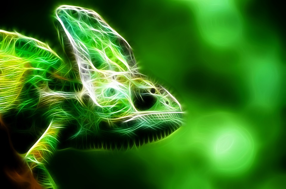 reptile, fractal, green