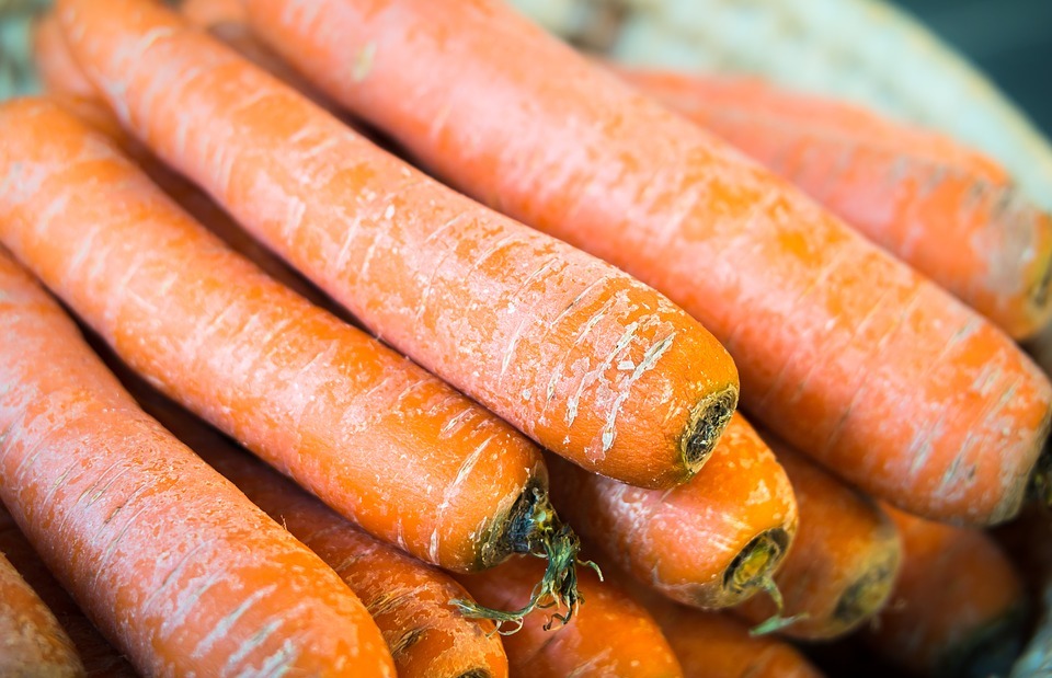 carrots, vegetables, thanksgiving