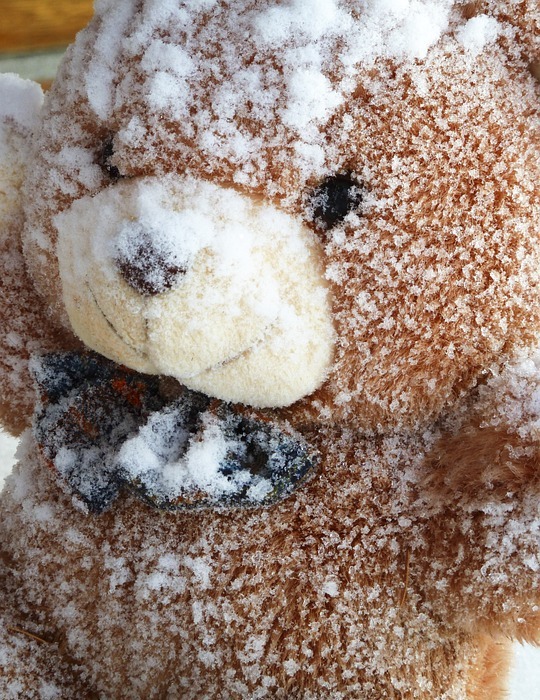 snowy, teddy bear, fabric