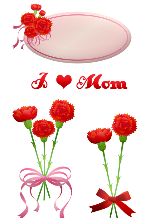 mother's day tags, carnations, labels