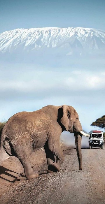 kenya safari tours, kenya tours, kenya safari packages