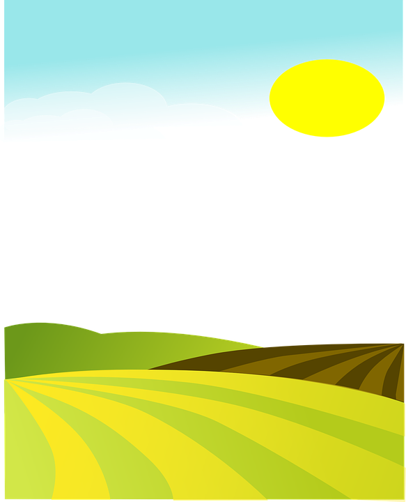 fields, agriculture, farmland