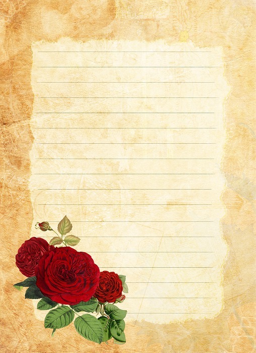 valentine's day, rose, postcard