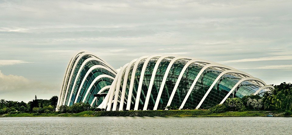 gardens by the bay, singapore, tourist attraction