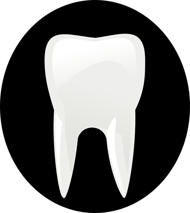 tooth, bite, dentist