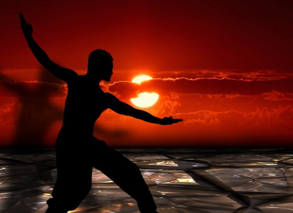 martial arts, tai chi, silhouettes