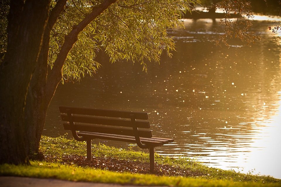 bench, park, pond