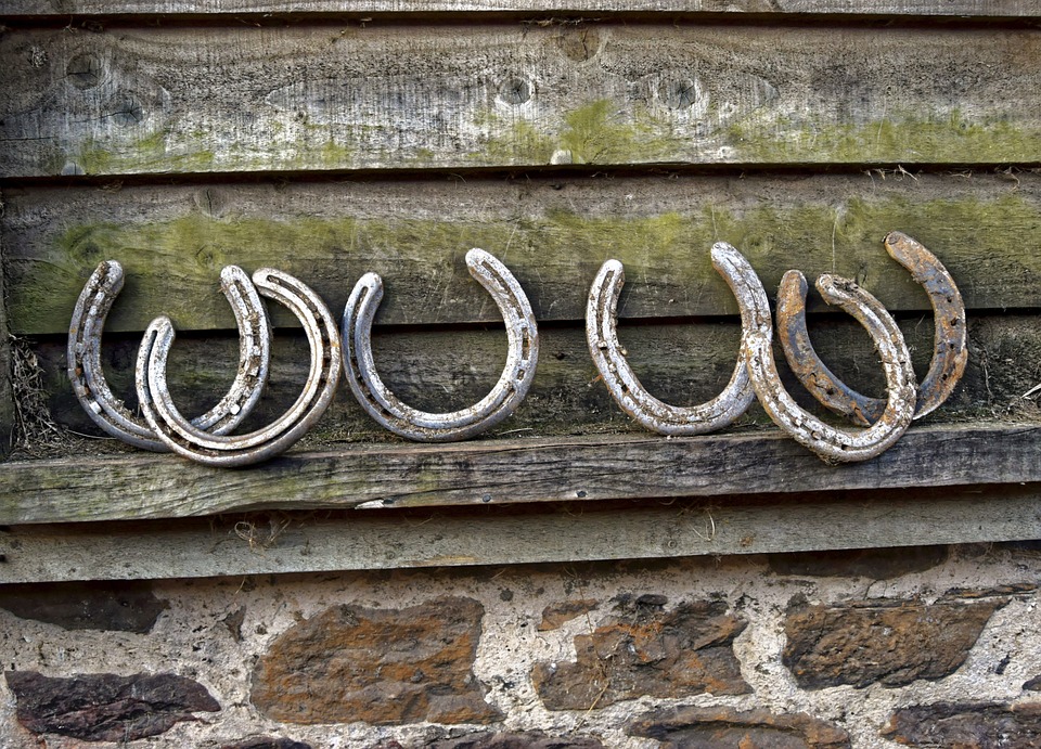 horse shoes, rusty, horse
