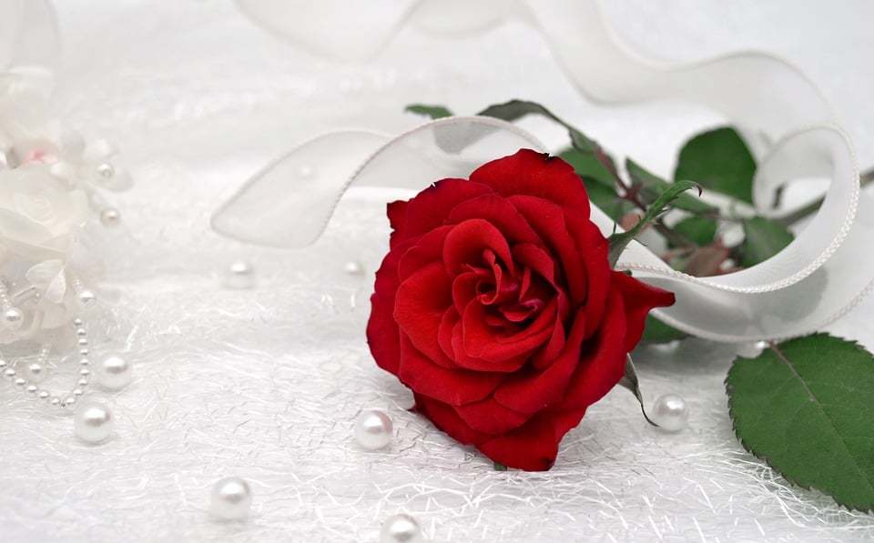happy mothers day, red rose, pearls