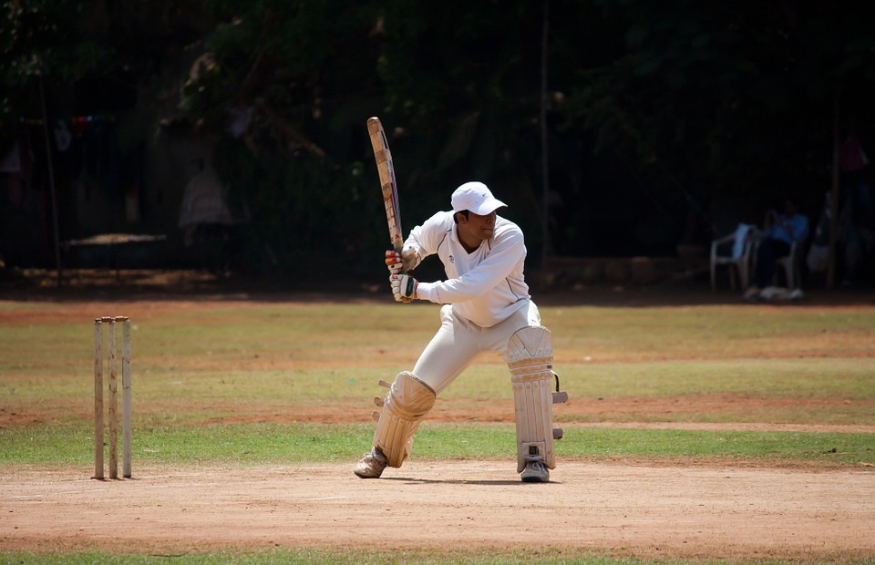 cricket, batsman, sports