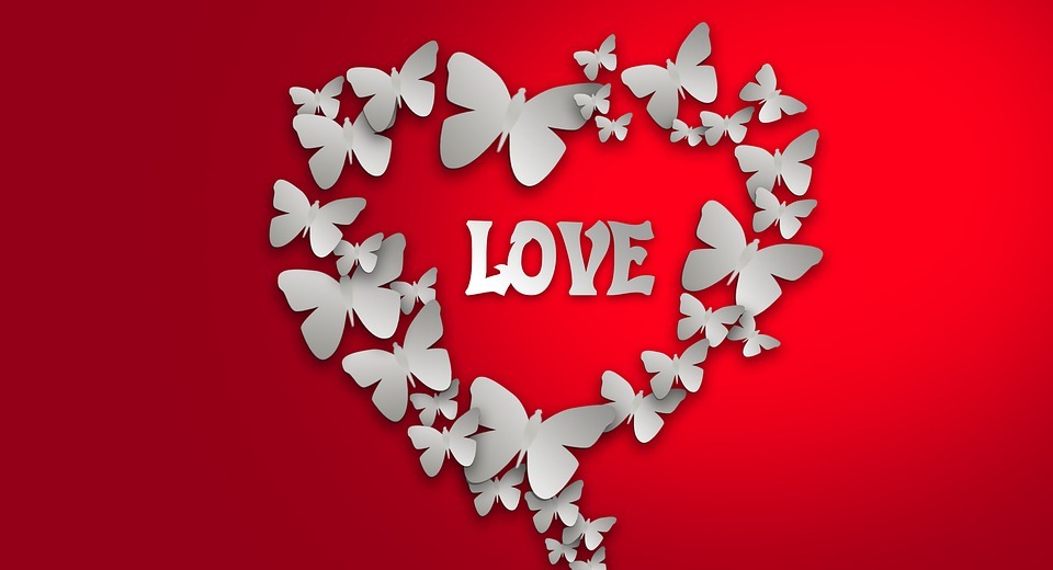valentine's day, love, heart