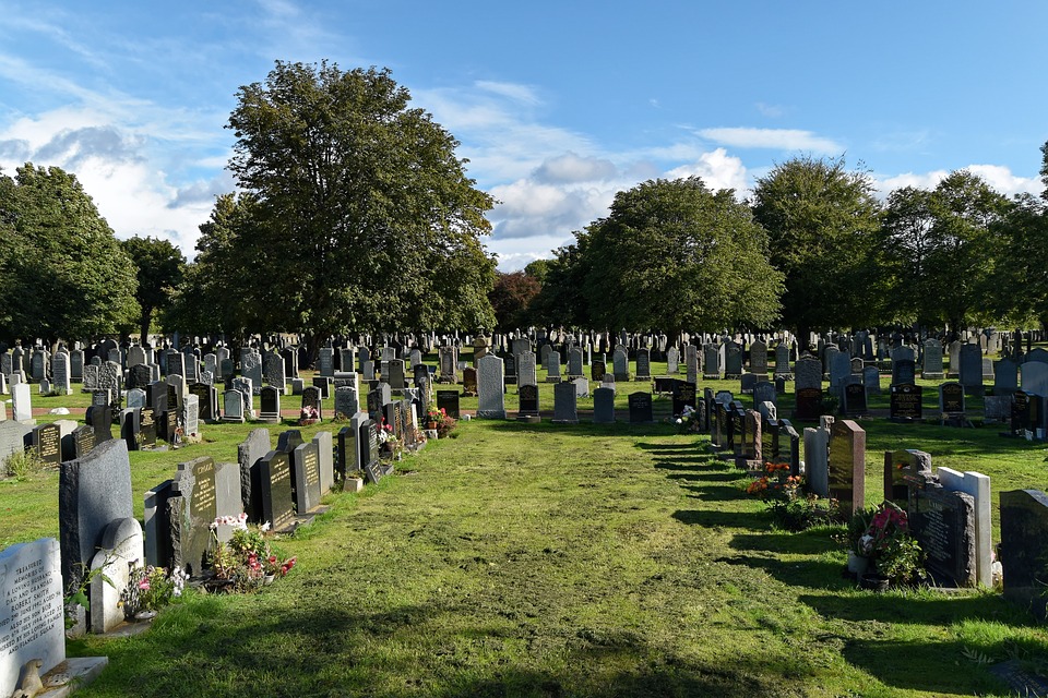 cemetery, trees, headstones