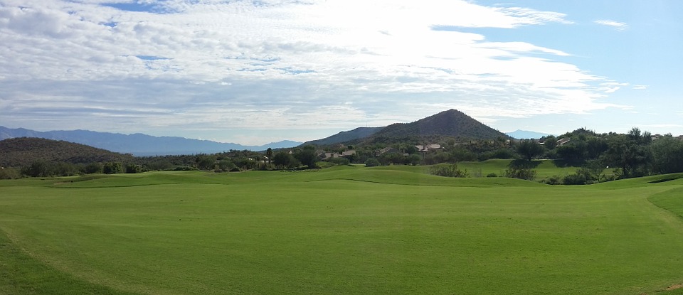 golf course, blue skyline, grass