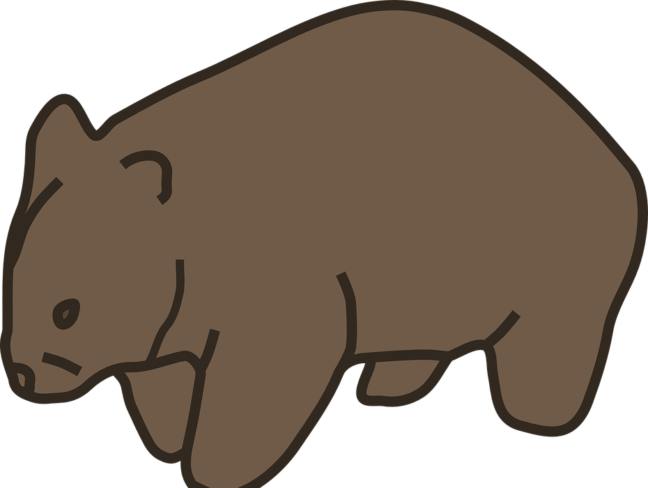 animal, wombat, mammal