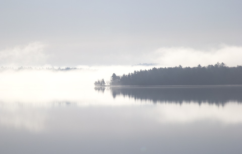 lake, reflection, trees