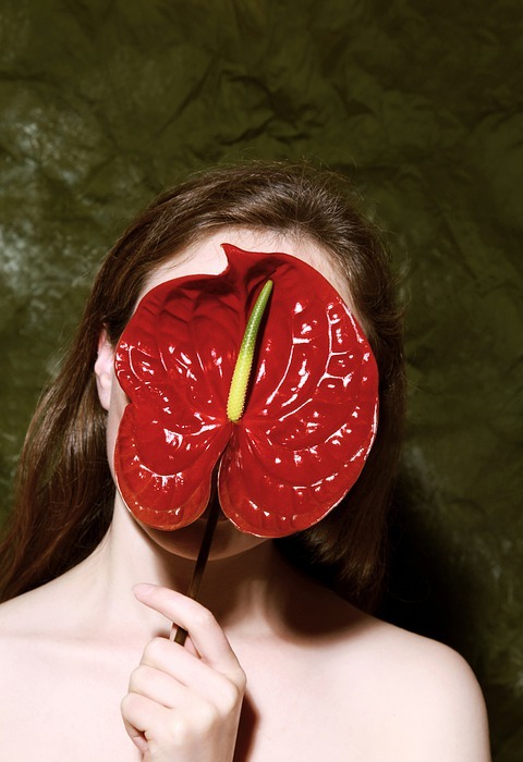 exotic, red flower, anthurium