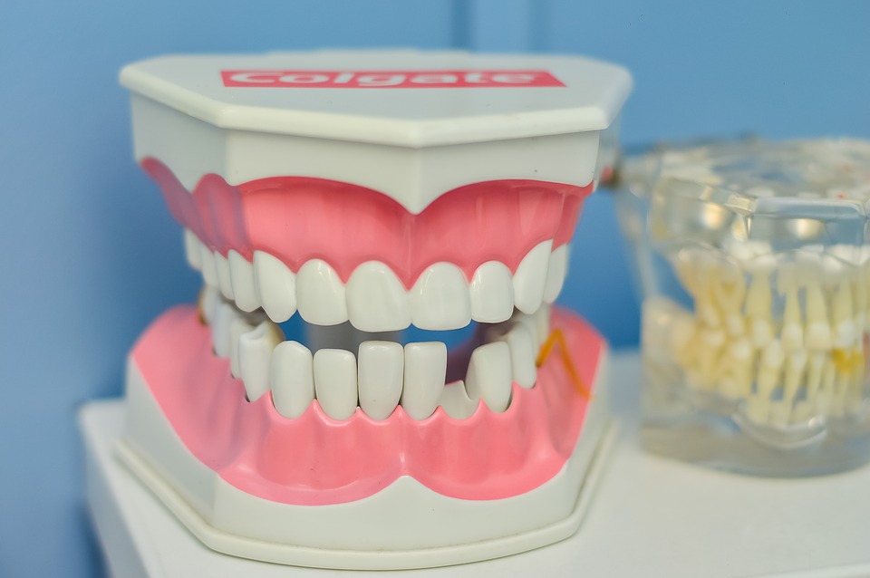 mouth, tooth, macromodelo