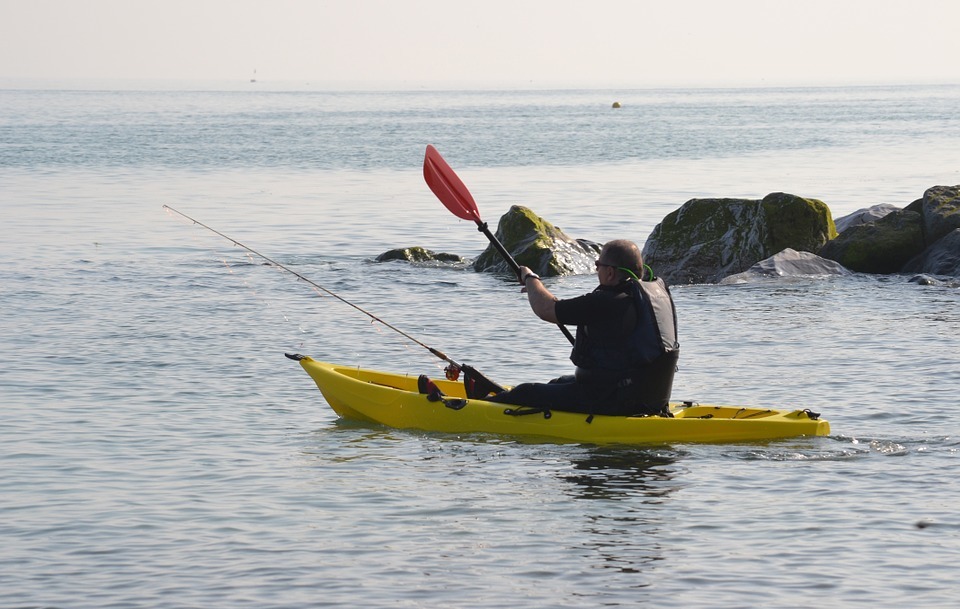 kayak, canoe, paddles
