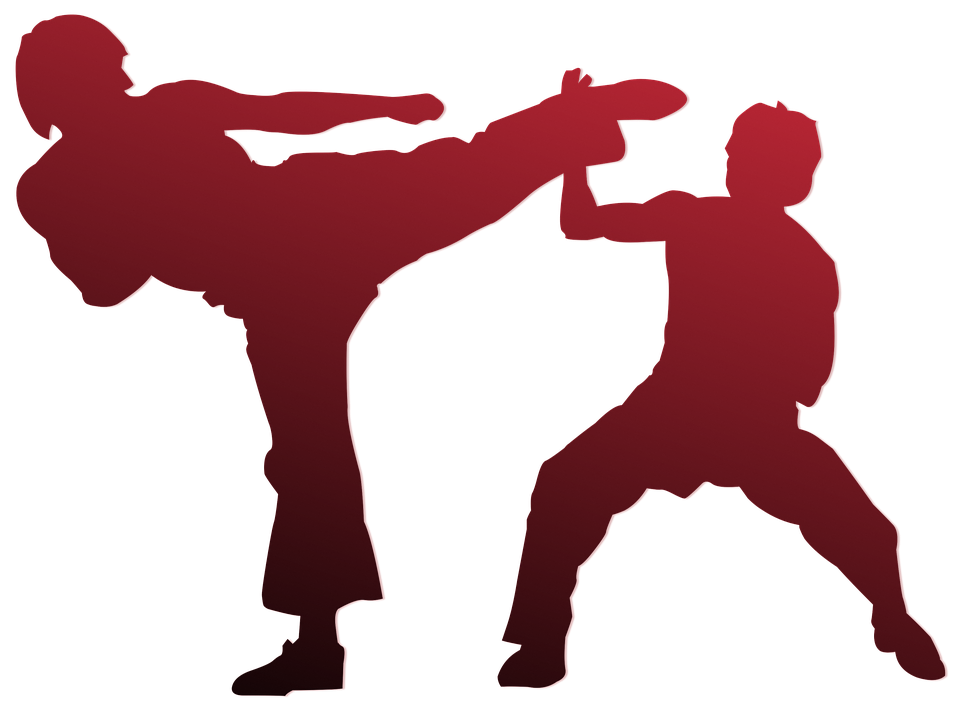 karate, silhouette, outline