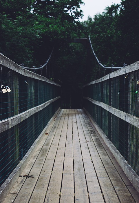 pathway, bridge, wood