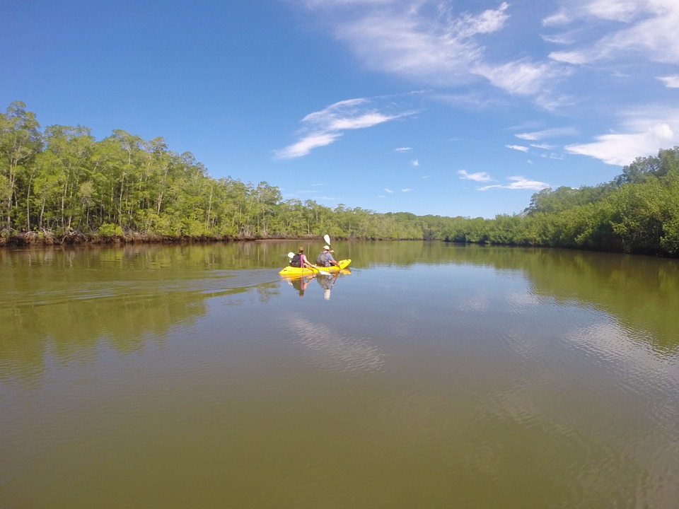 kayaking, nature, beautiful
