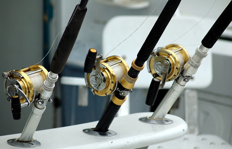 fishing reels, rod, equipment