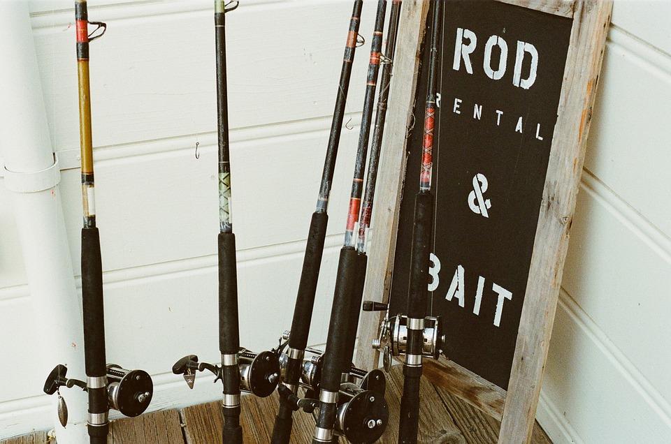 fishing rods, rods, fishing