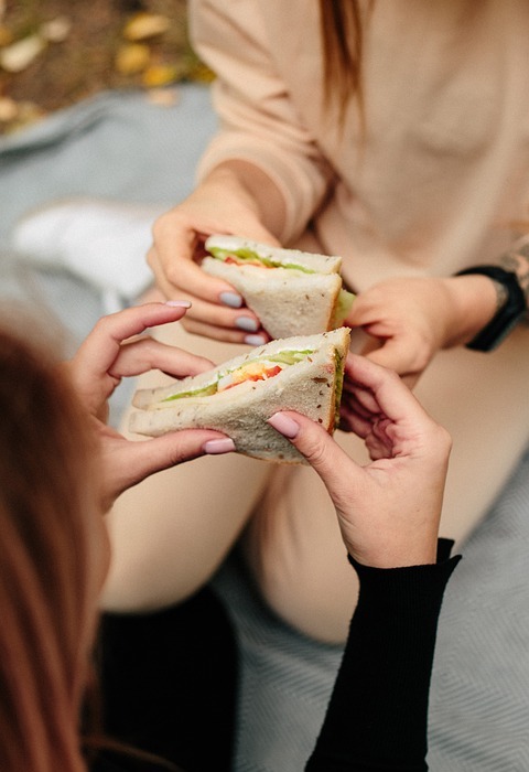 picnic, sandwich, food