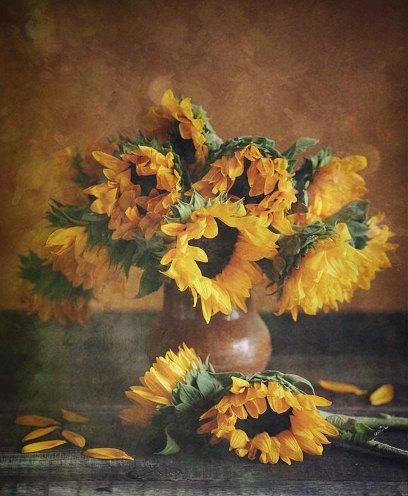 sunflowers, yellow, bouquet