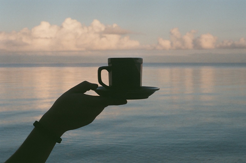 coffee, cup, lake