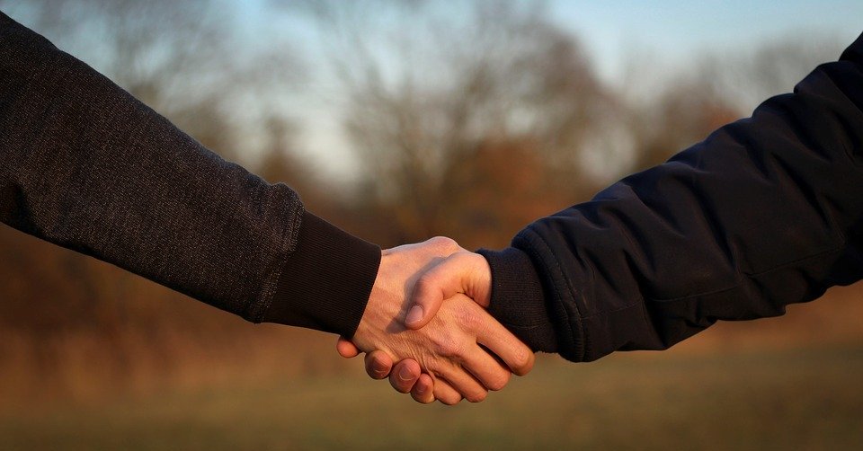 handshake, hand giving, hand holding