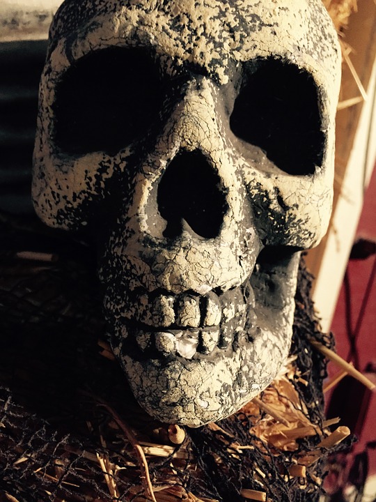 skull, halloween, halloween background