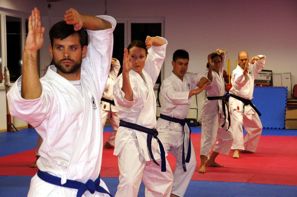 karate, martial arts, sport