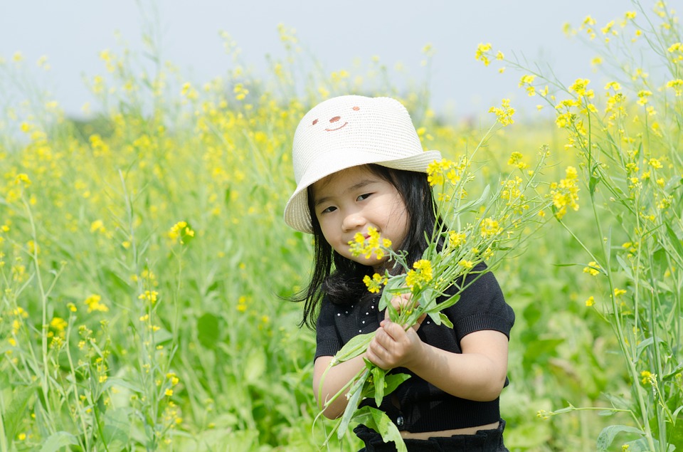 little, flower reform, field